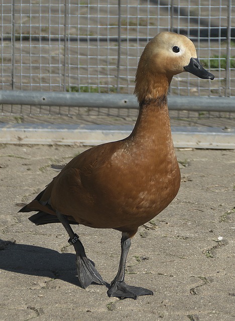 场能完成超