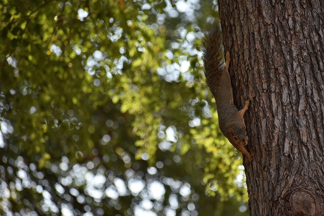 再次验证了 再次验证了
