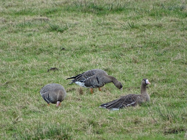 关注赛场上 关注赛场上