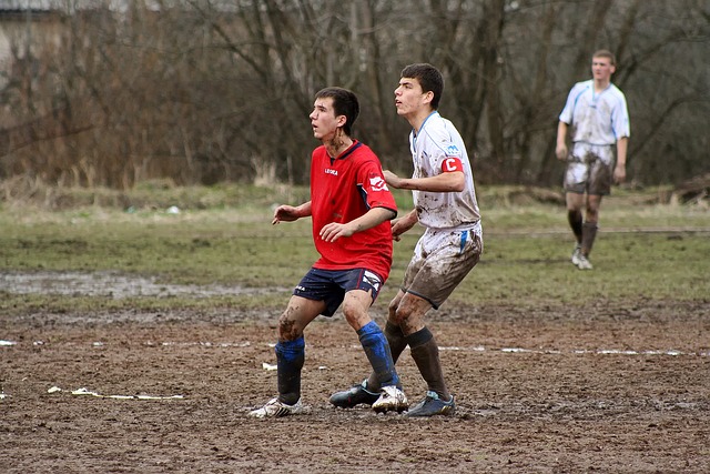 布里奇斯 布里奇斯