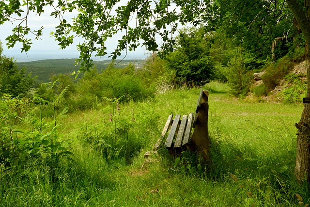 皇马战斗至 皇马战斗至